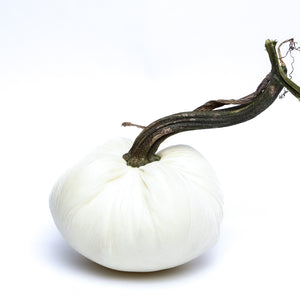 Ivory Silk Velvet Pumpkin
