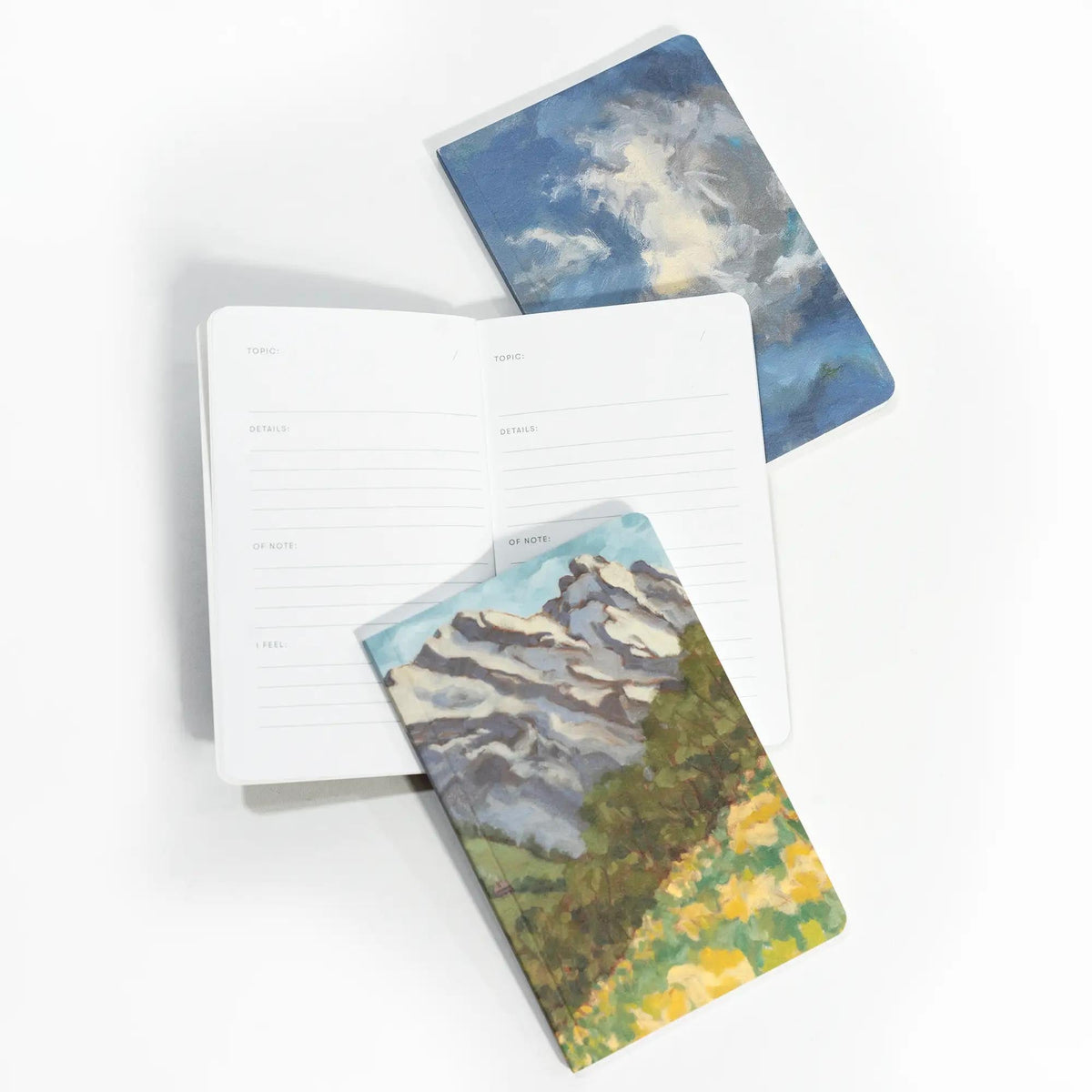 Landscapes of Frankenstein En Plein Air Pocket Journals, Set of 3