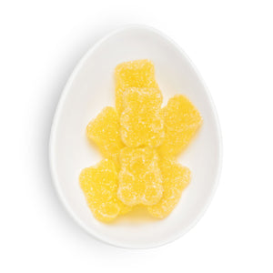 Sparkling Cider Bears, Set of 3