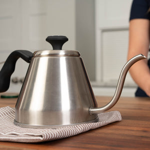 Stainless Steel Kettle w/ Beverage Thermometer 1.2L in Silver