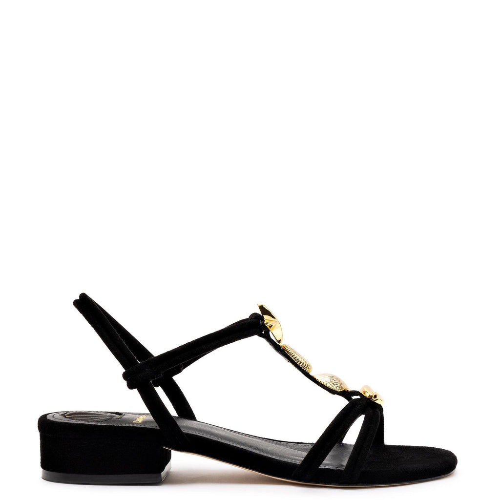Shelly Flat Sandal In Black Suede