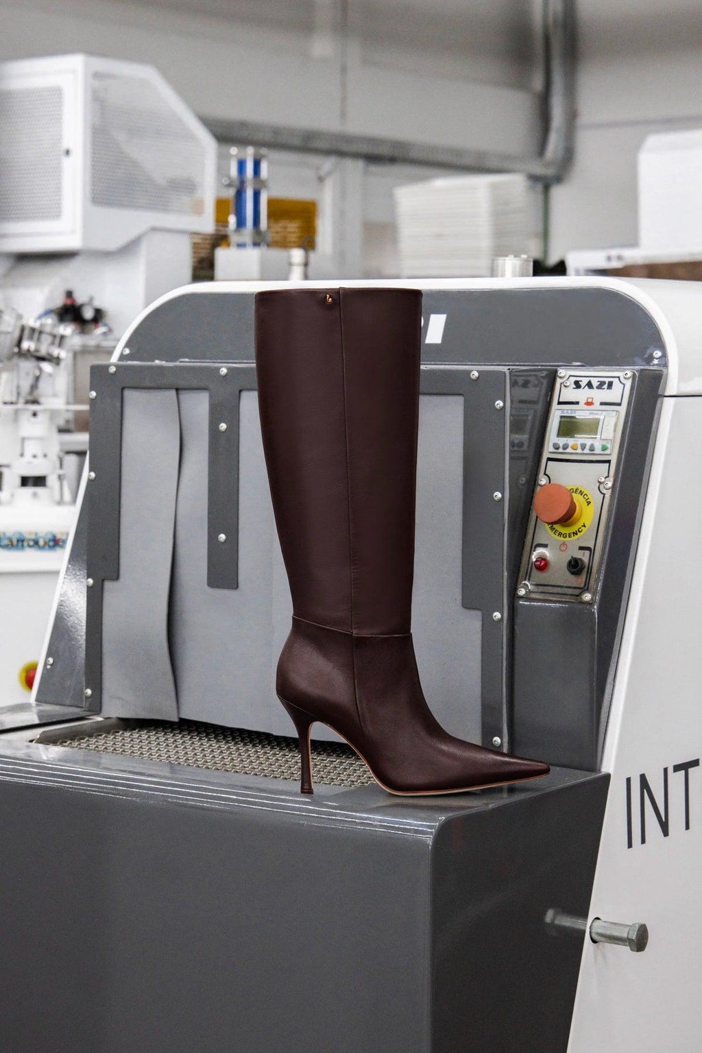 Carina Boot In Brown Leather