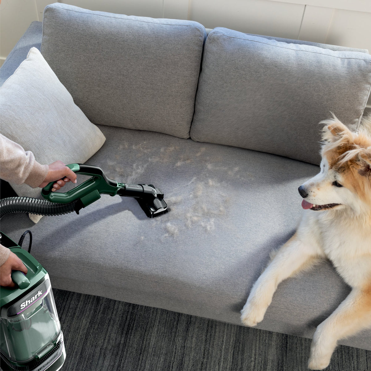 Shark Detect Pro Lift-Away Bagless Upright Vacuum Cleaner