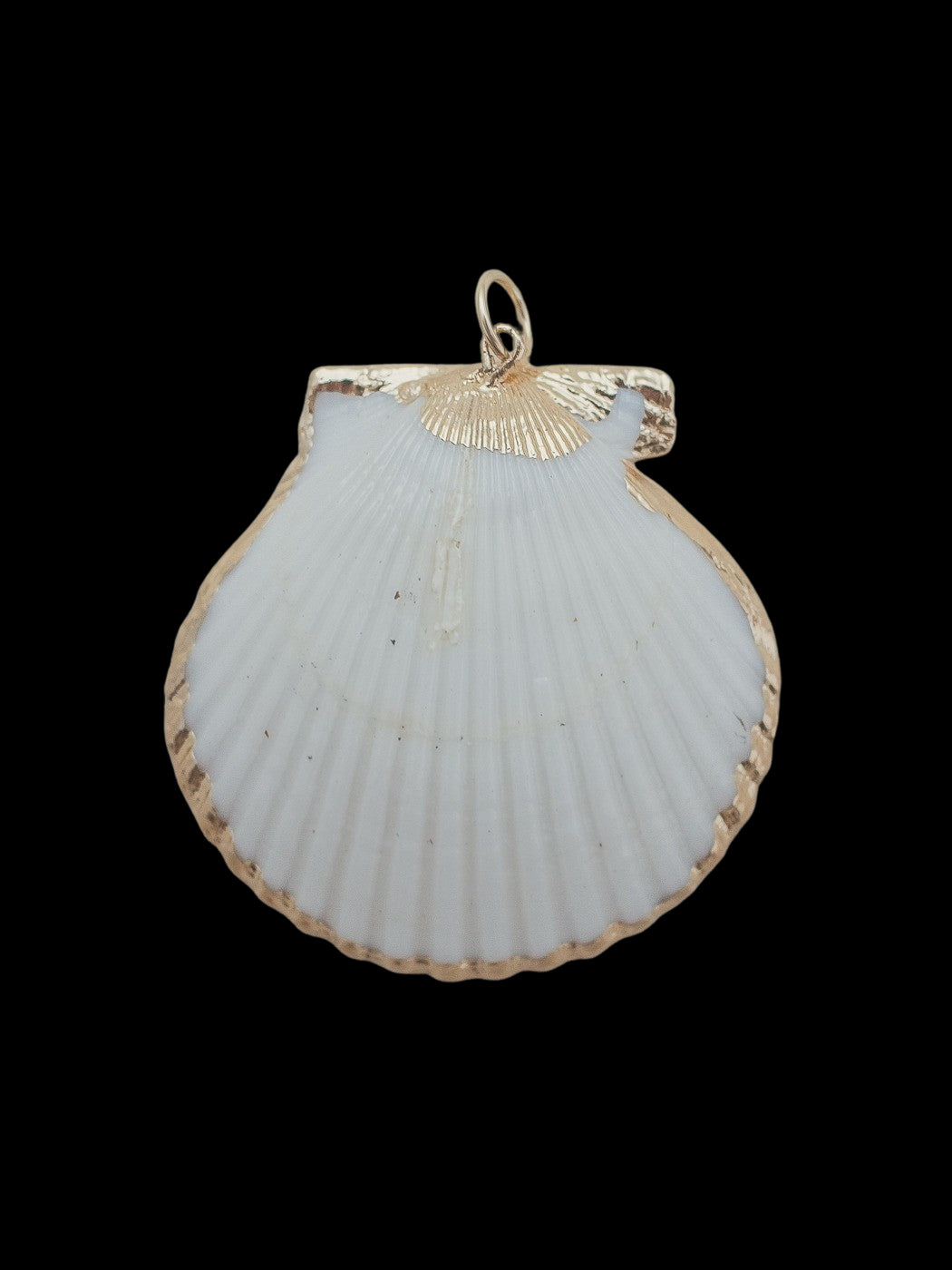 Large Scallop Shell Charm in White