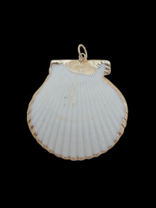 Large Scallop Shell Charm in White