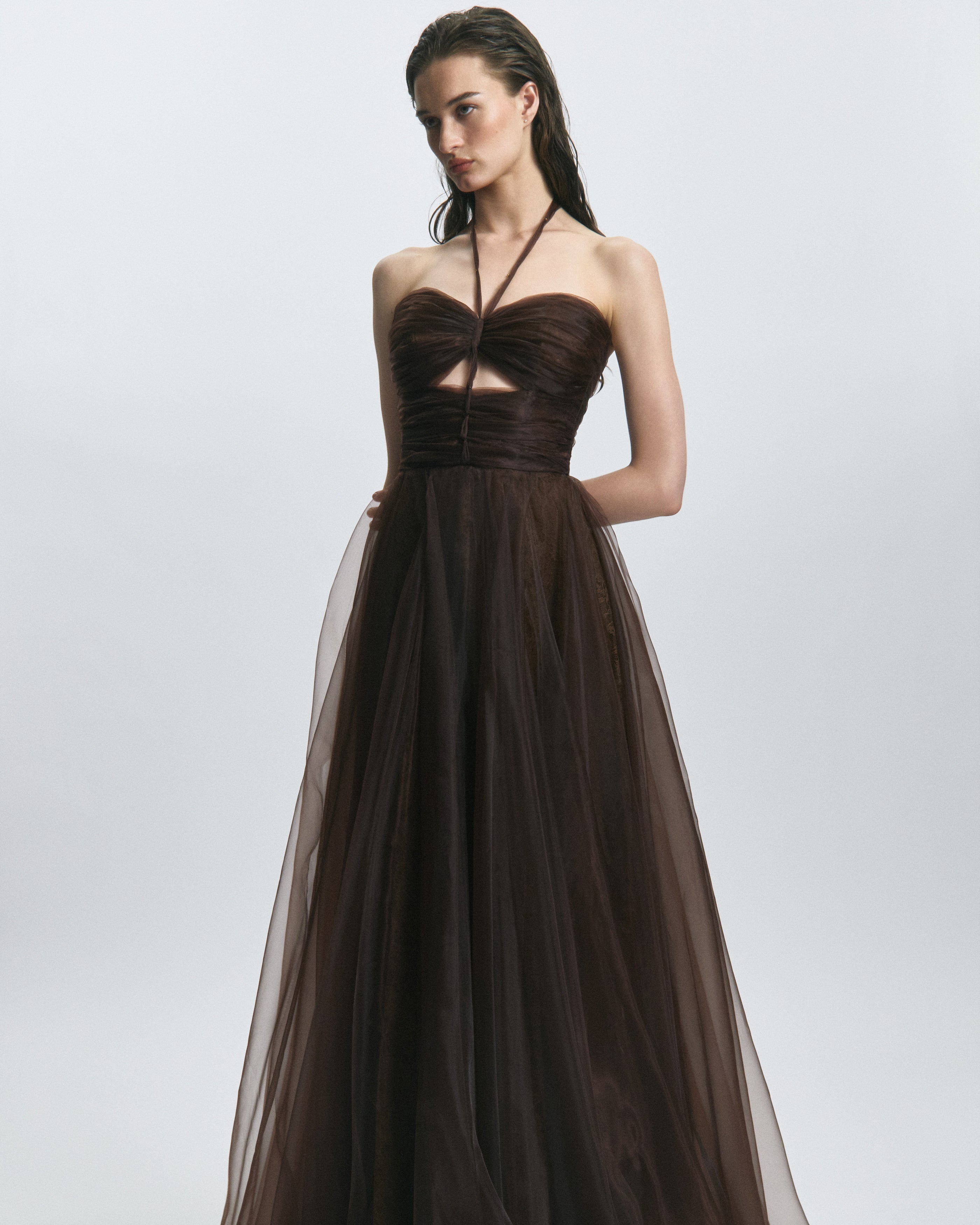 Leon Silk Organza Mocca Dress