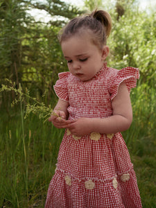 Little Lady Field Dress in Red Gingham