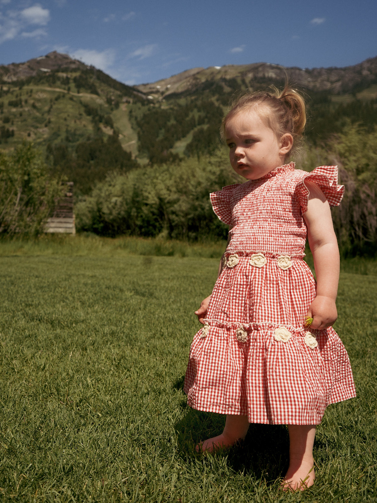 Little Lady Field Dress in Red Gingham