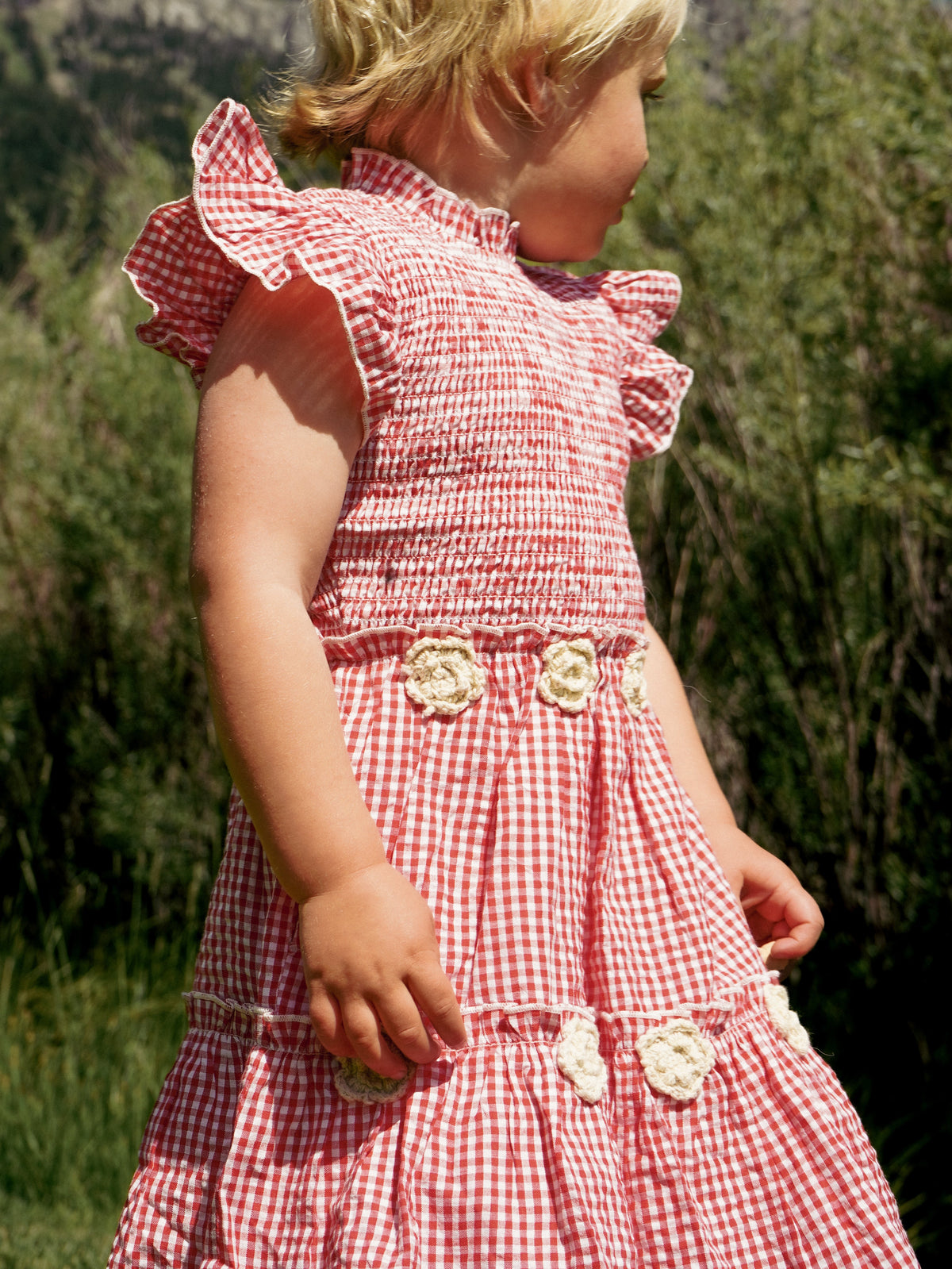 Little Lady Field Dress in Red Gingham