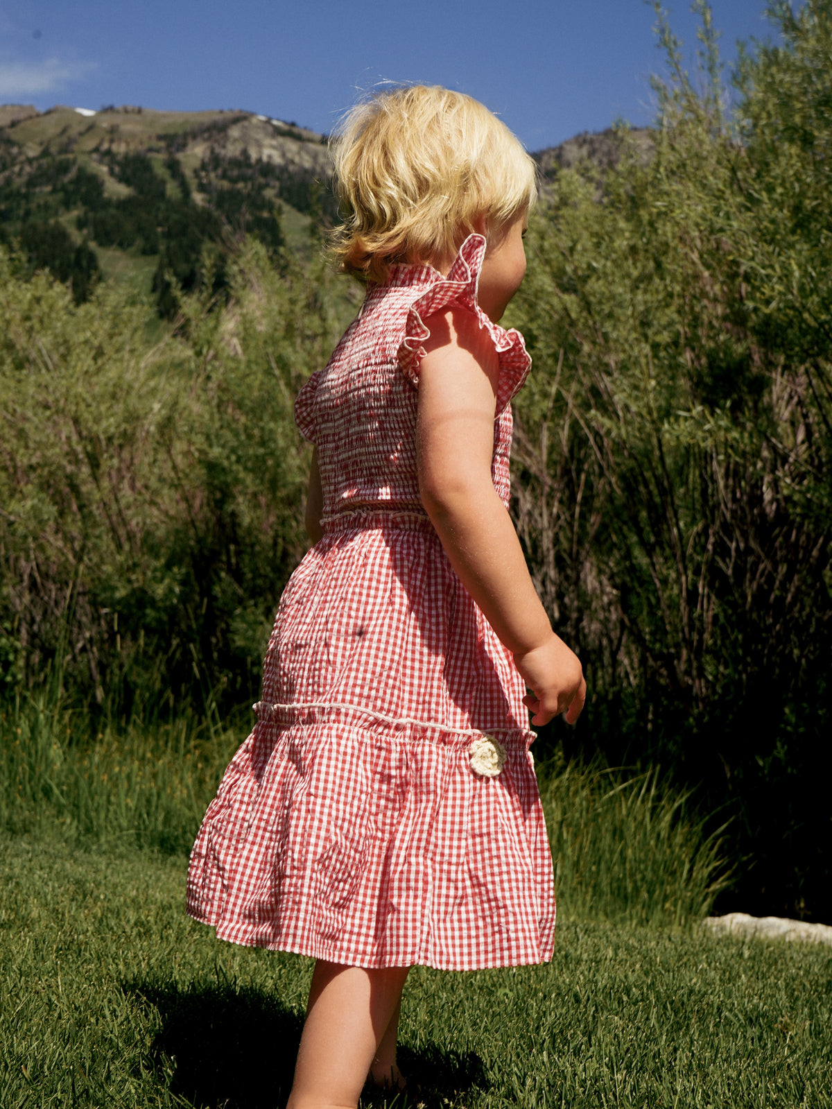 Little Lady Field Dress in Red Gingham
