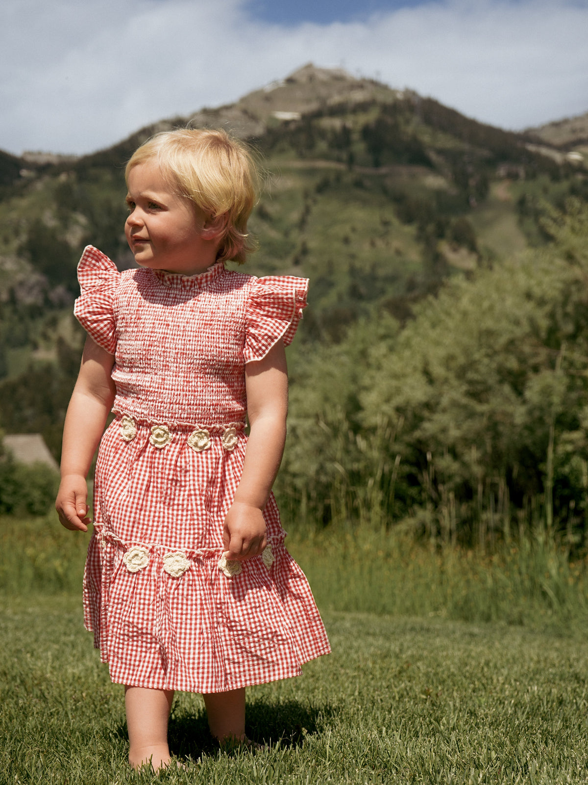Little Lady Field Dress in Red Gingham