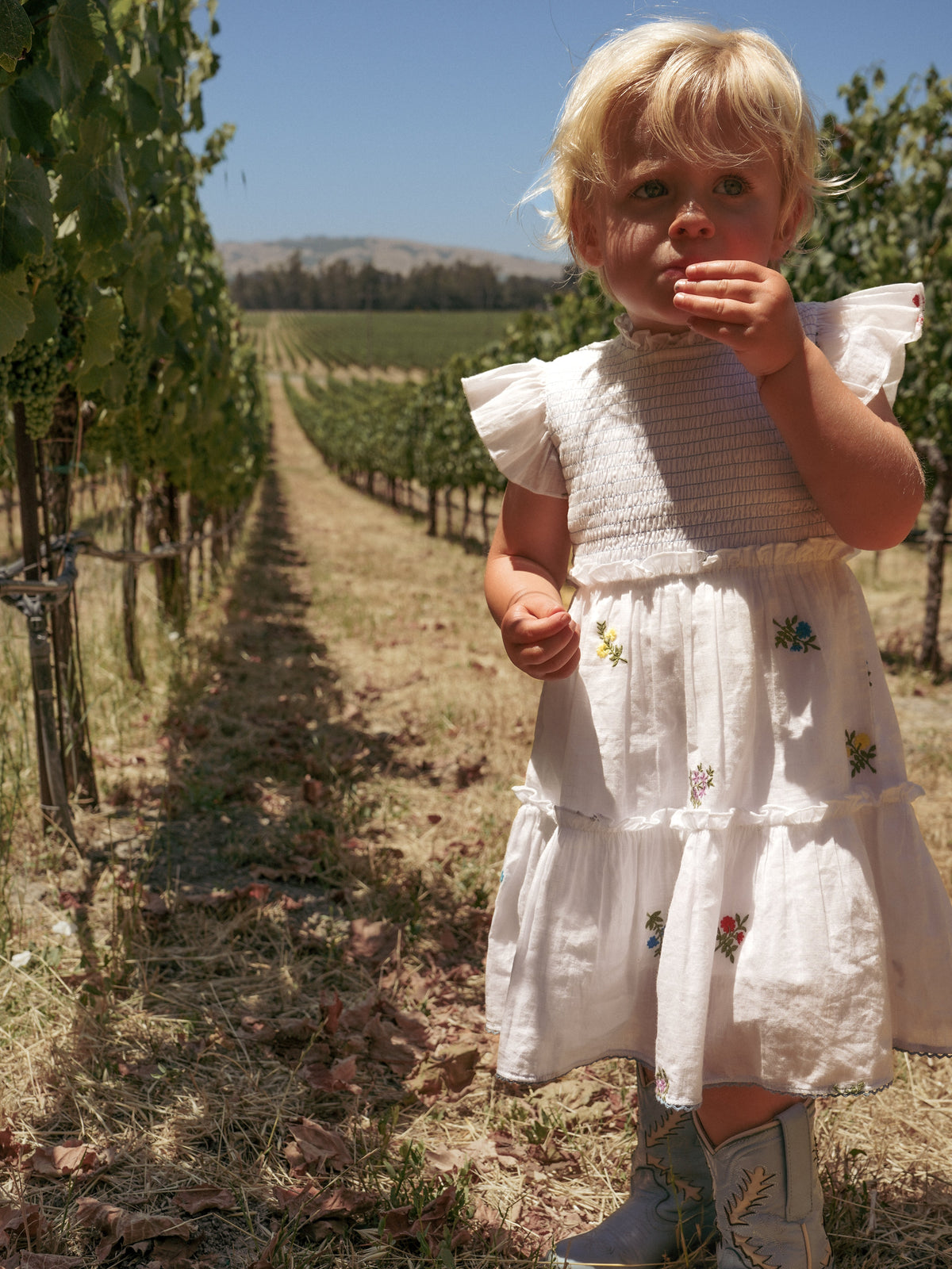 Little Lady Field Dress in White with Embroidery