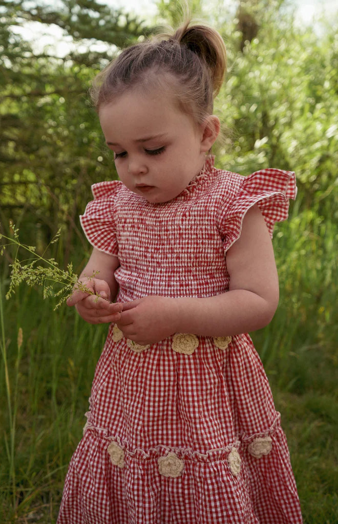 Little Lady Field Dress in Red Gingham