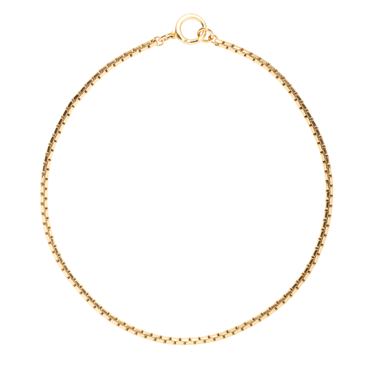 Flat lay of Scottie Chain Necklace showcasing gold box chain and oversized clasp on white background