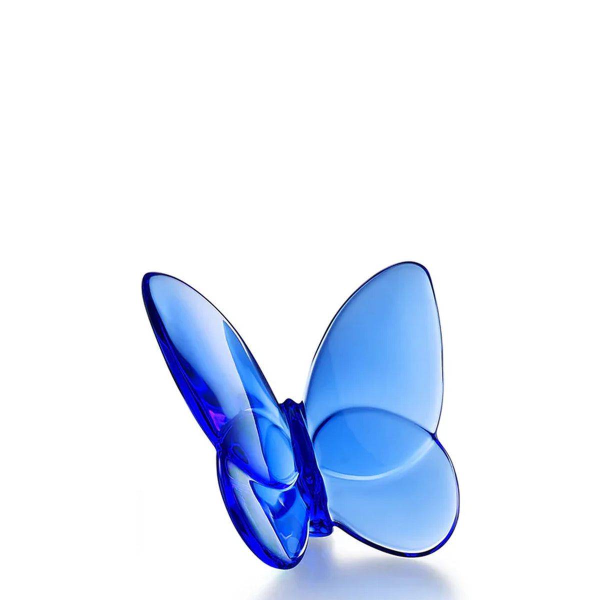 Lucky Butterfly in Blue