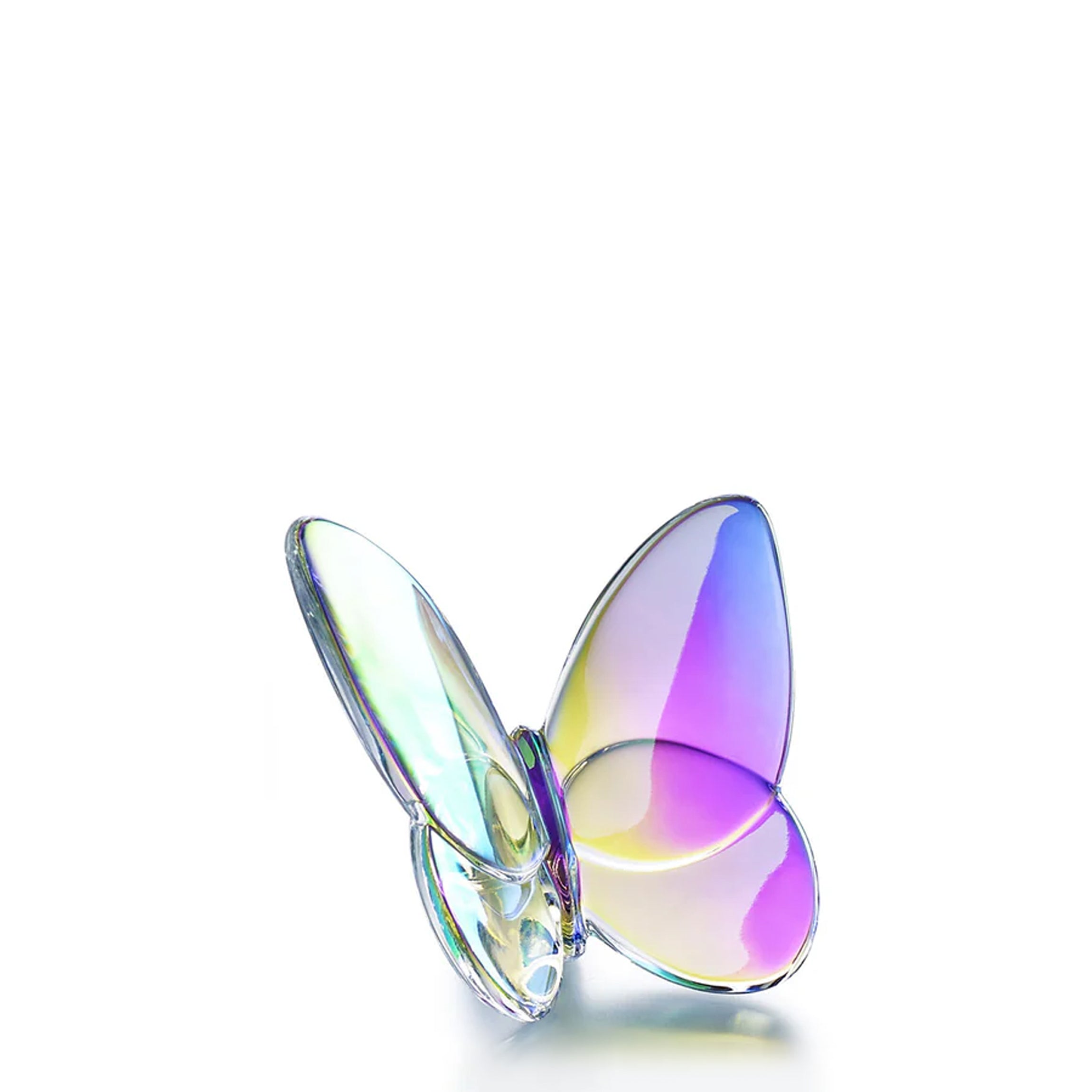 Lucky Butterfly in Iridescent