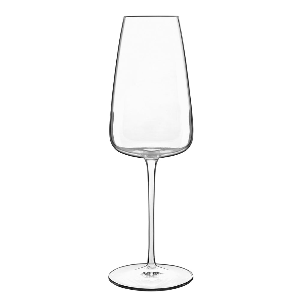 Front view of Luigi Bormioli Talismano Prosecco champagne glass showcasing its tapered bowl and slender stem with a white background