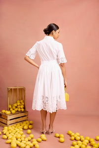 camille skirt in lemon slice embroidered cotton
