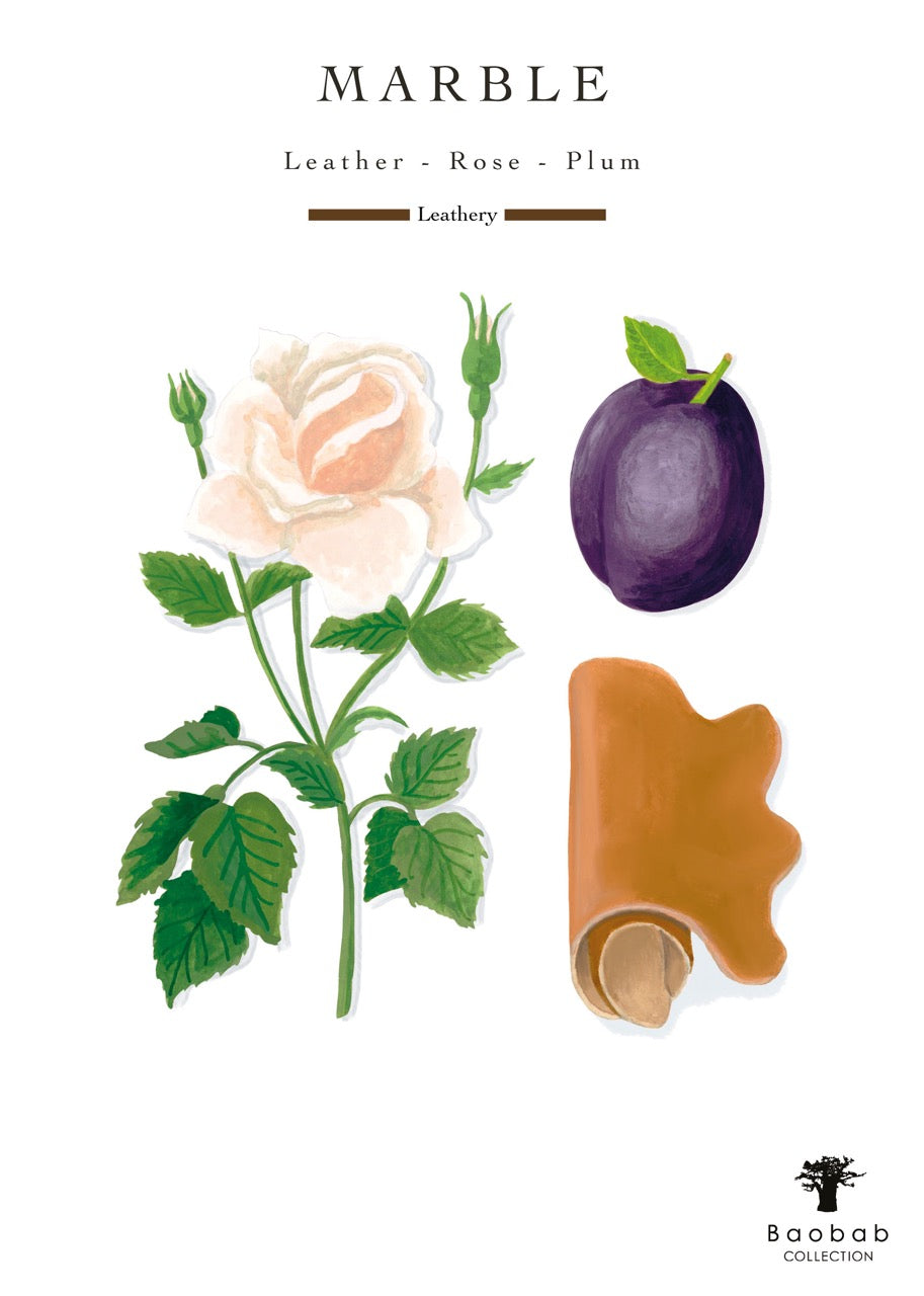 Max 16 Stones Marble