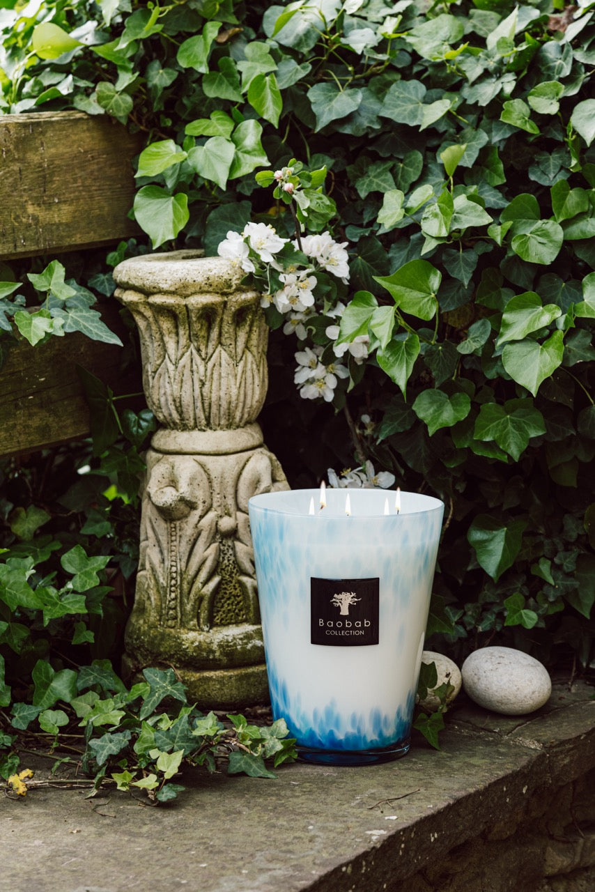 Max 16 Eden Seaside candle burning with four wicks in blue-and-white glass on a stone ledge among ivy and white blossoms