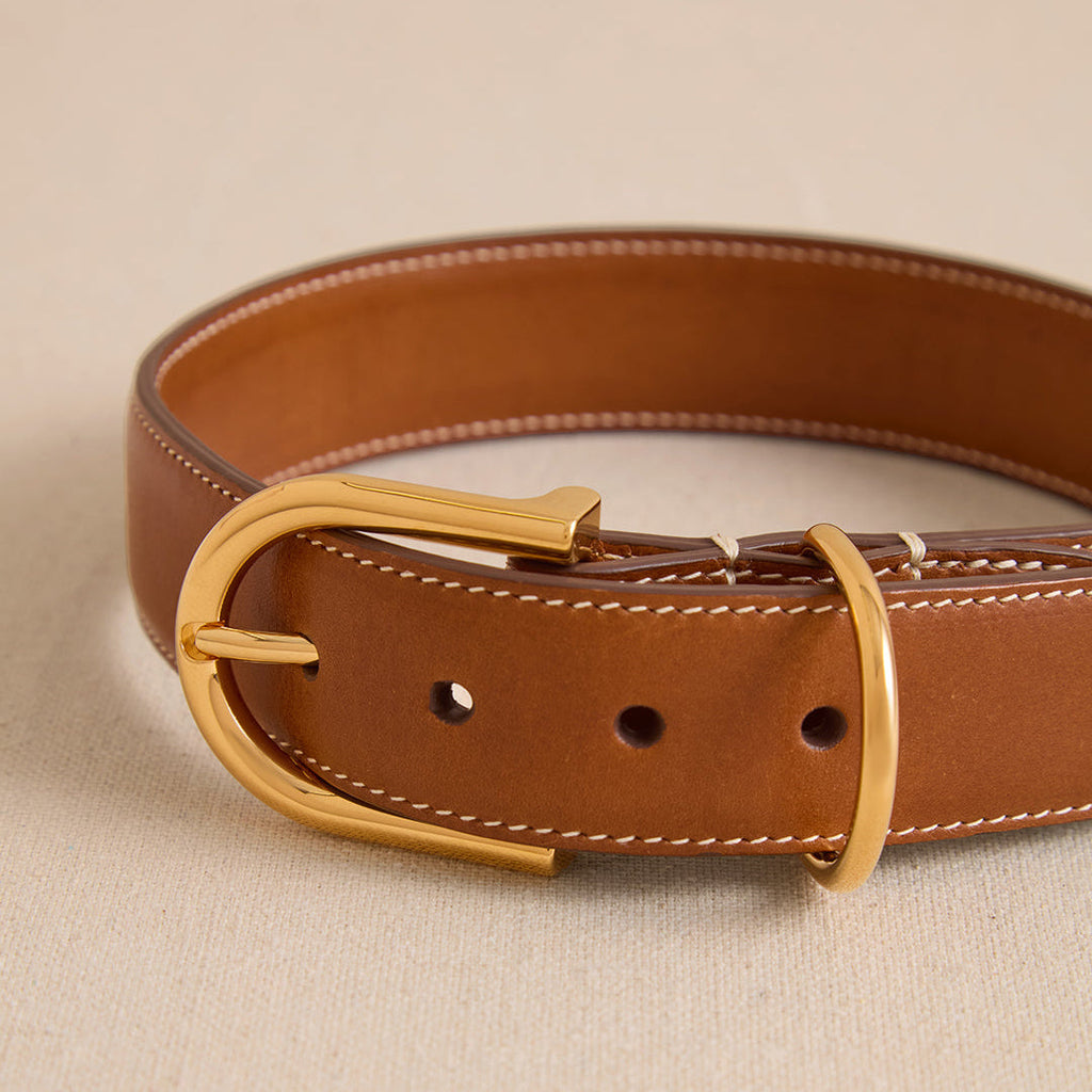 Pet Collar 30 in Vacchetta Luggage