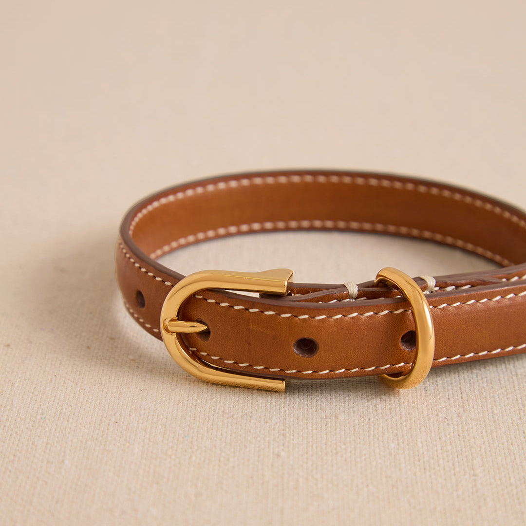 Pet Collar 15 in Vacchetta Luggage
