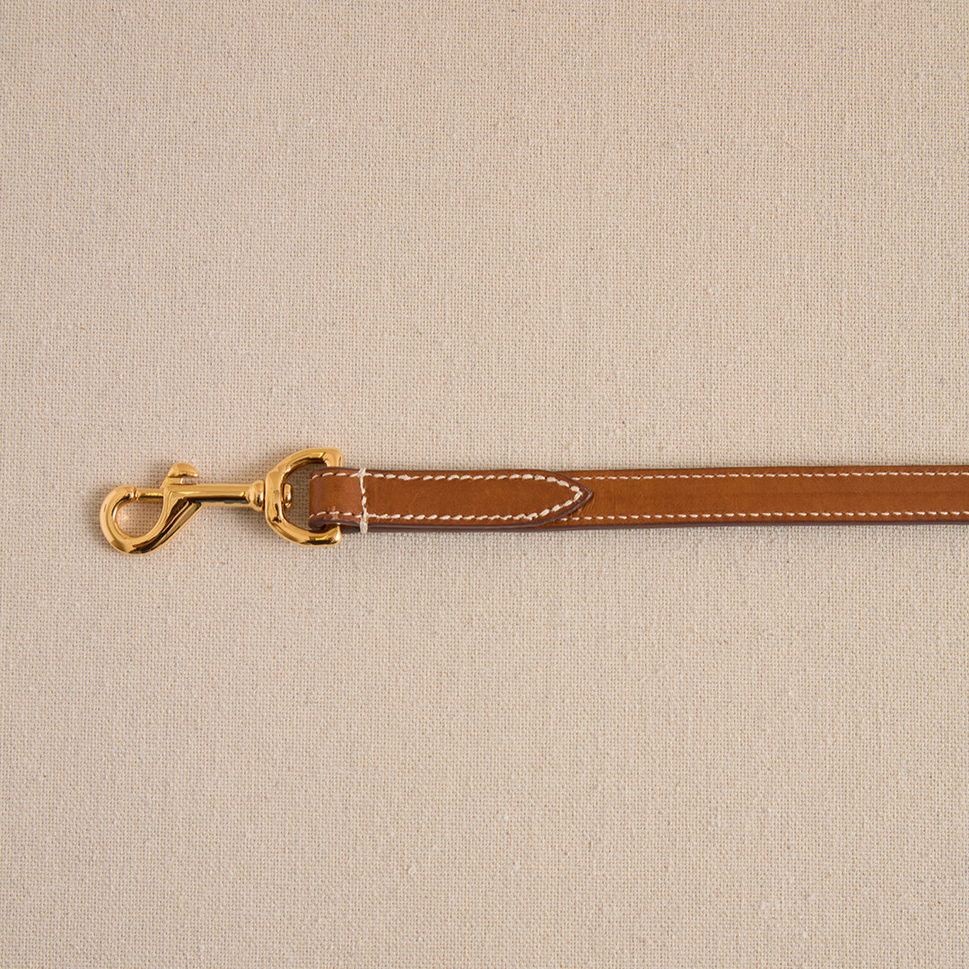 Pet Leash 15 in Vacchetta Luggage