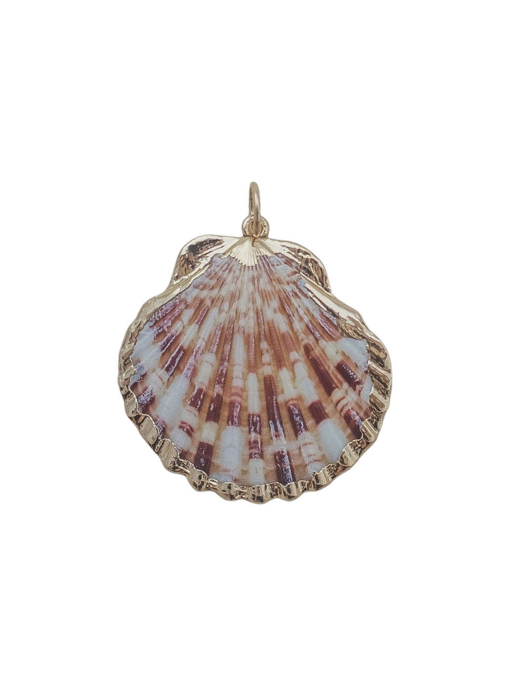 Medium Scallop Shell Charm in Multi