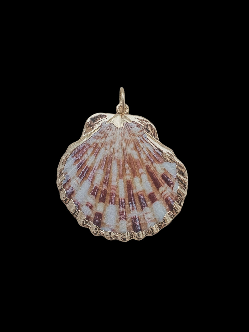 Medium Scallop Shell Charm in Multi