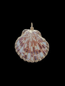 Medium Scallop Shell Charm in Multi