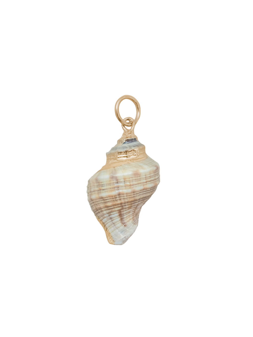 Medium Spiral Shell Charm in Multi