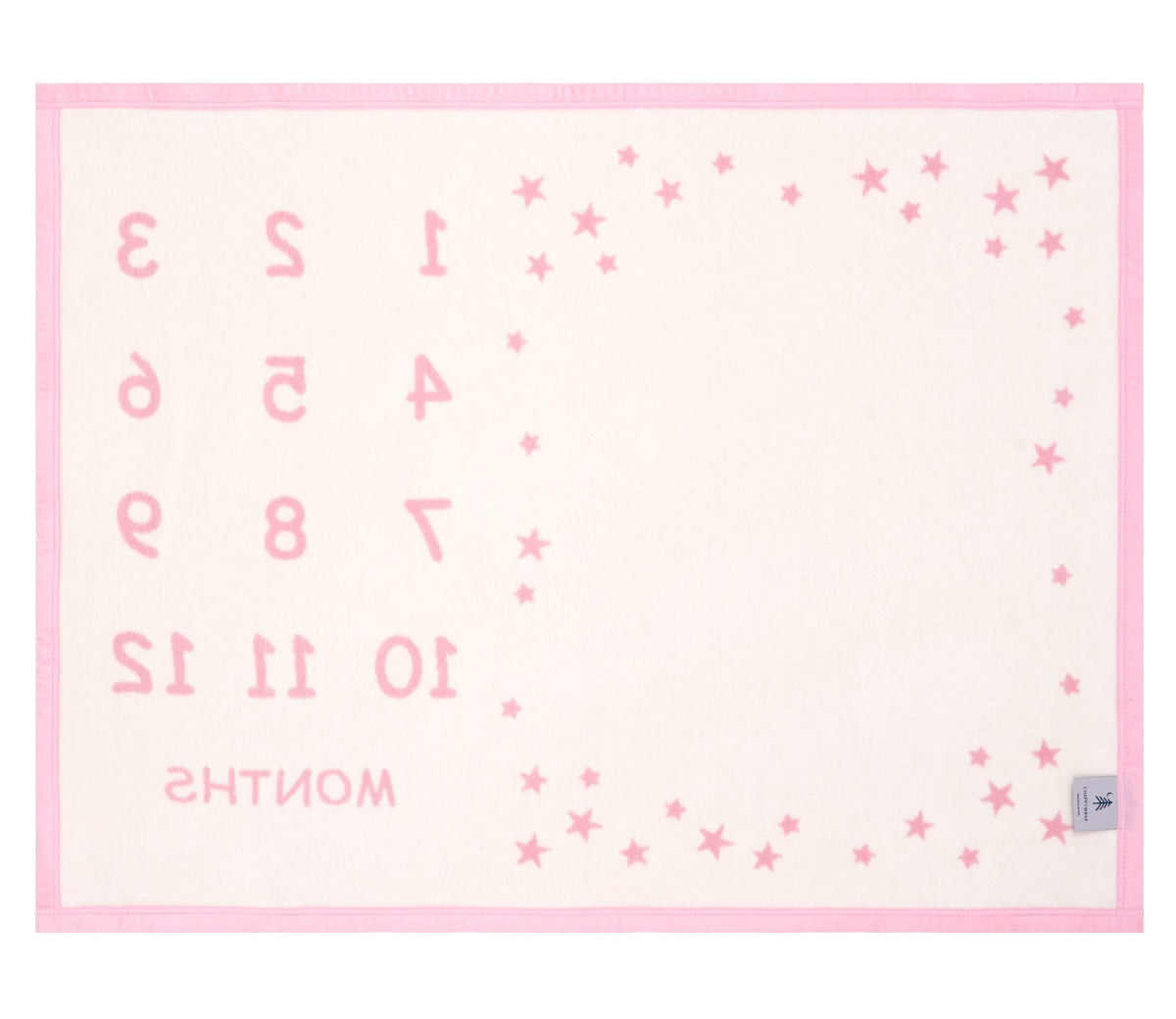 Milestone Mini Blush Blanket