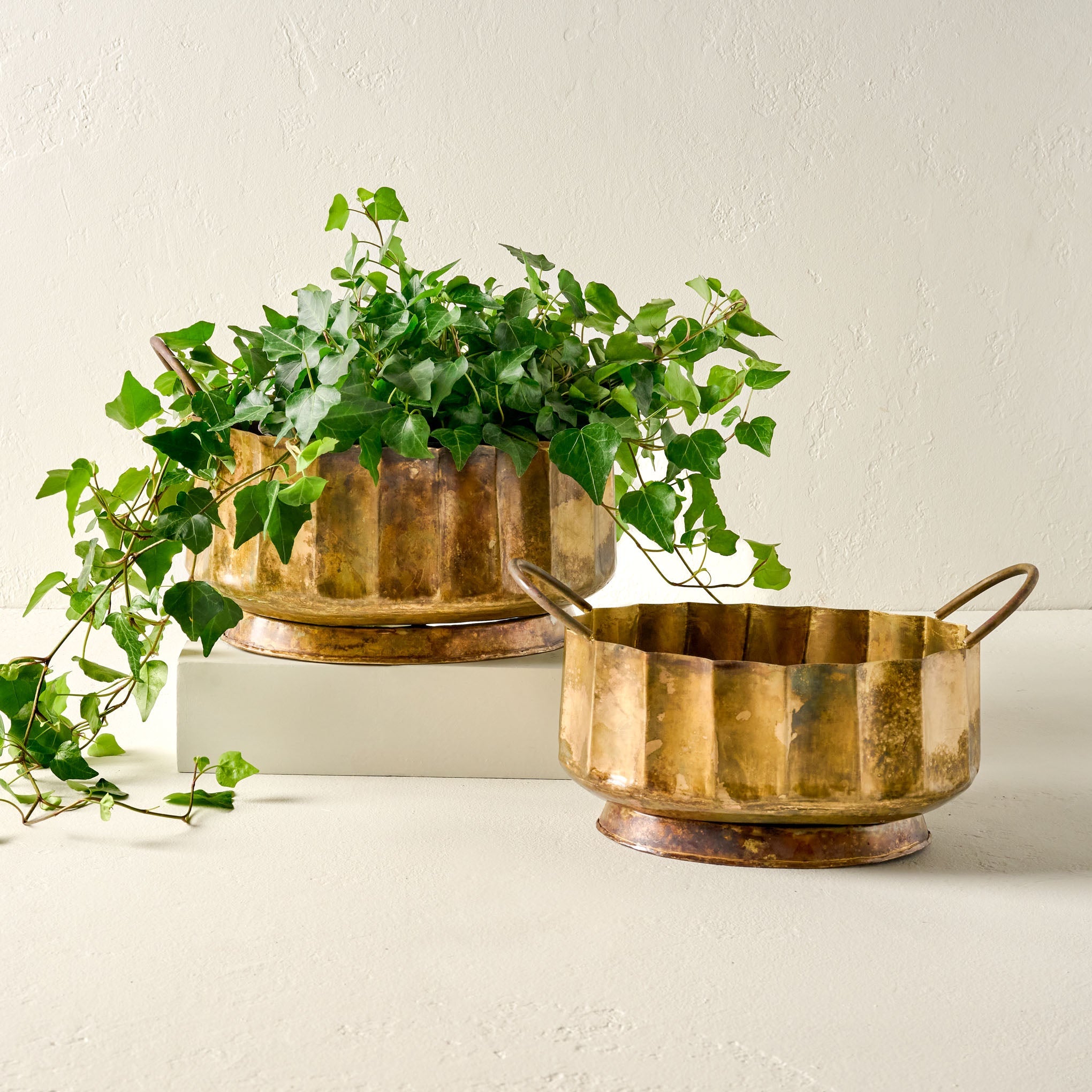 Antique Brass Planter with Handles Large