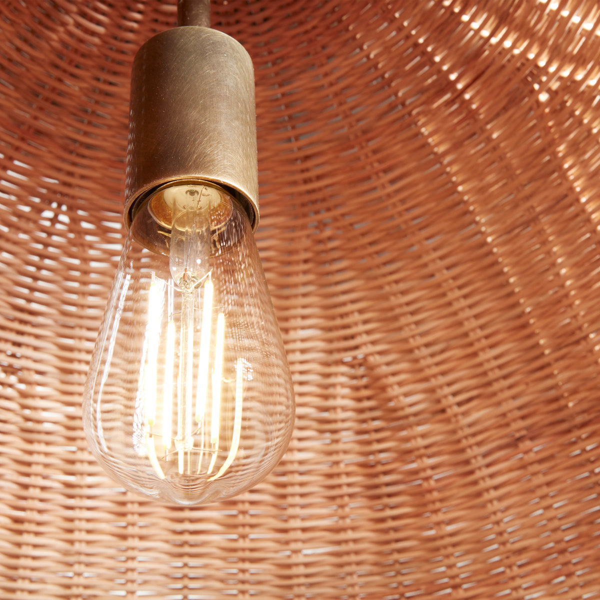 augusta pendant socket