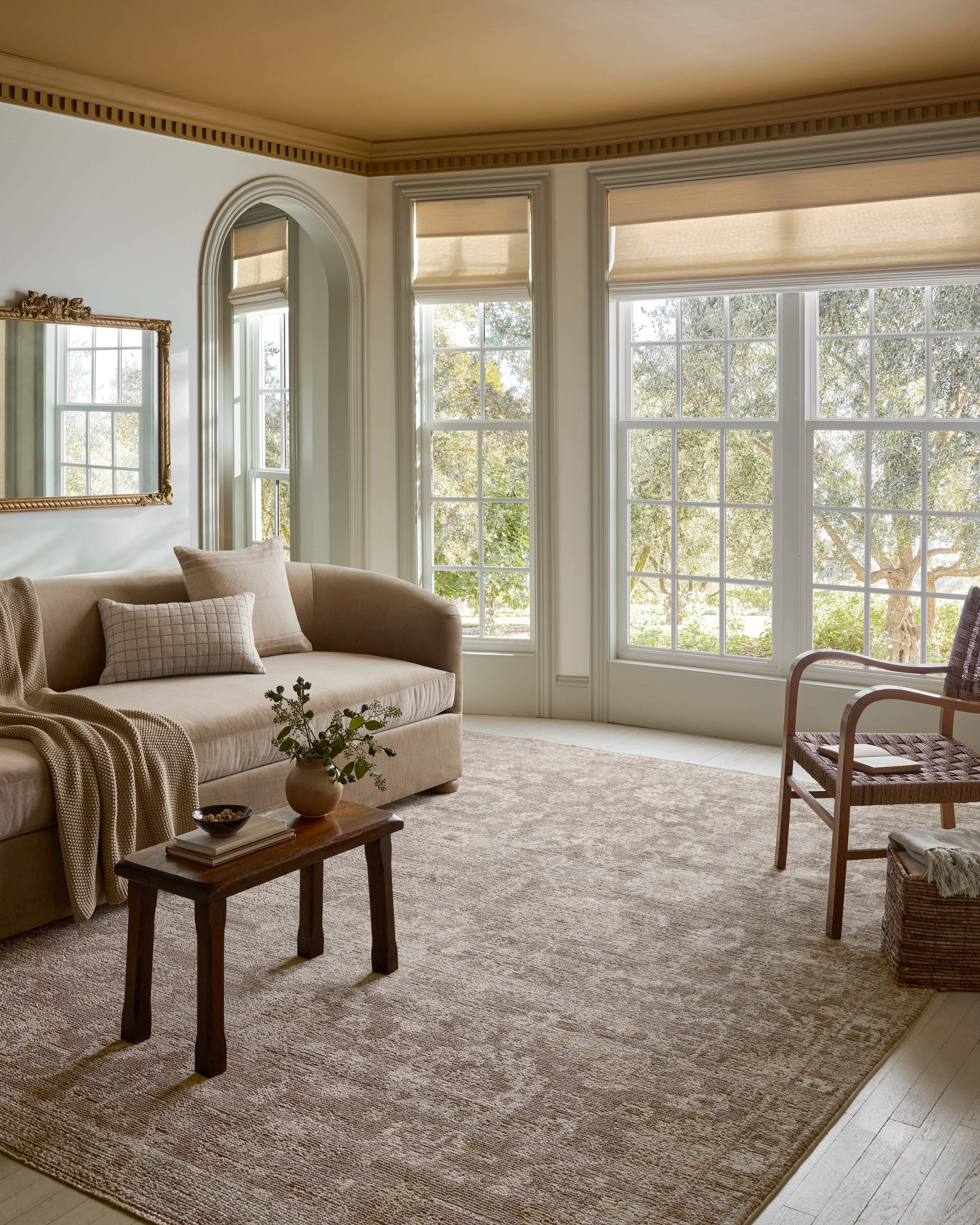 7'10" x 10' Taupe/Wheat Area Rug
