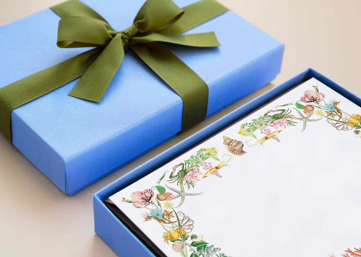 Angled view of Marea personal stationery set showing floral and seashell border on paper beside a blue gift box with olive ribbon