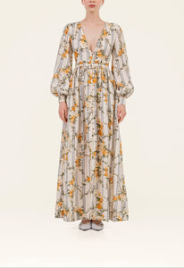 Frambuesa Valle Maxi Dress