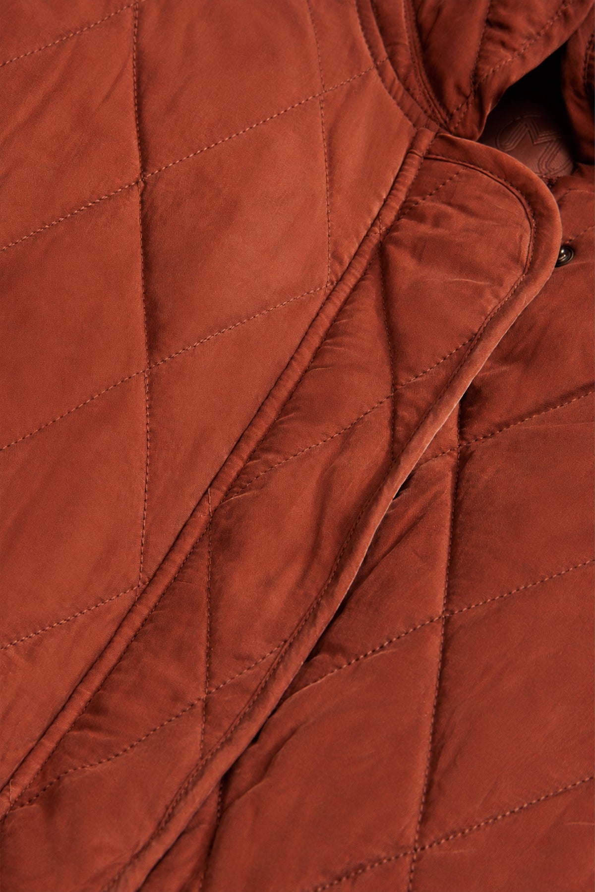 Haisley Jacket in Tortoise