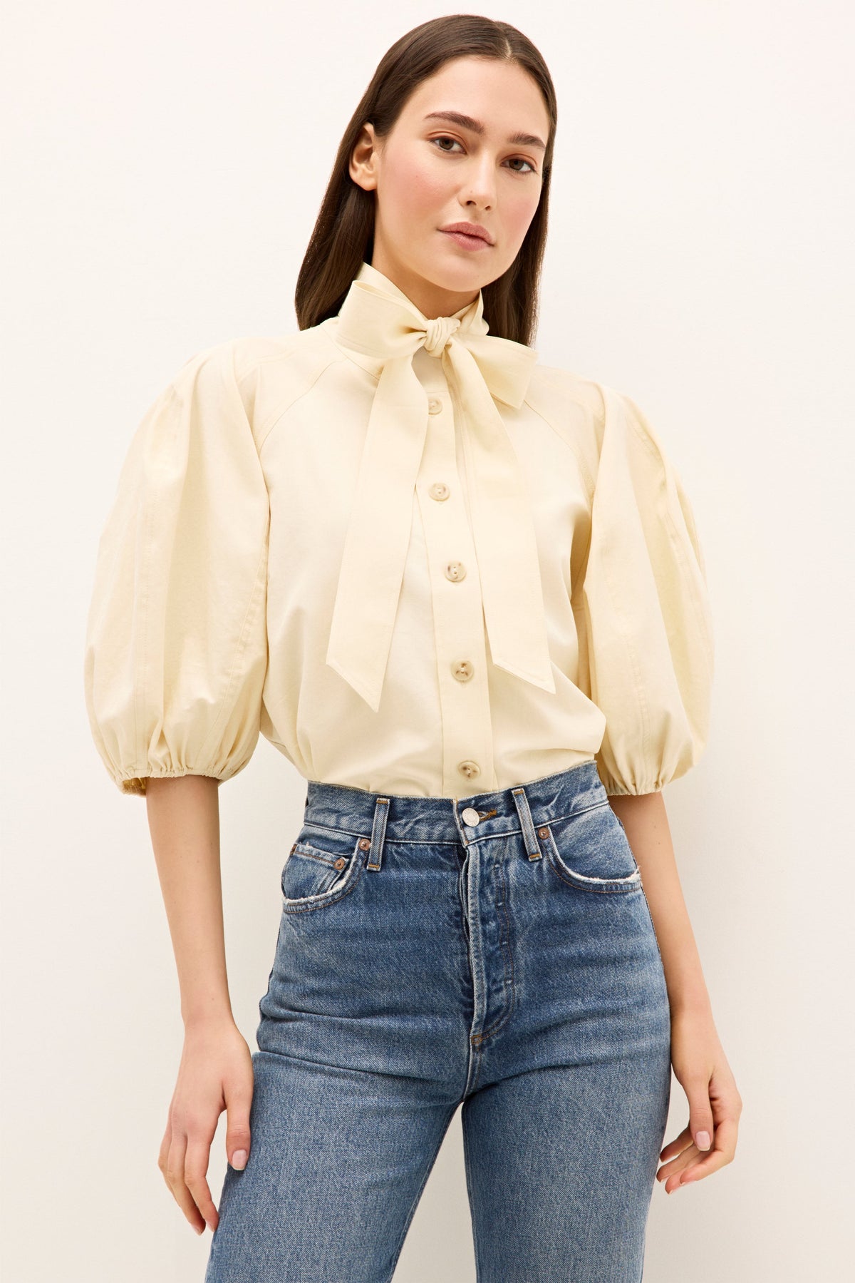 Navi Top in Turtledove