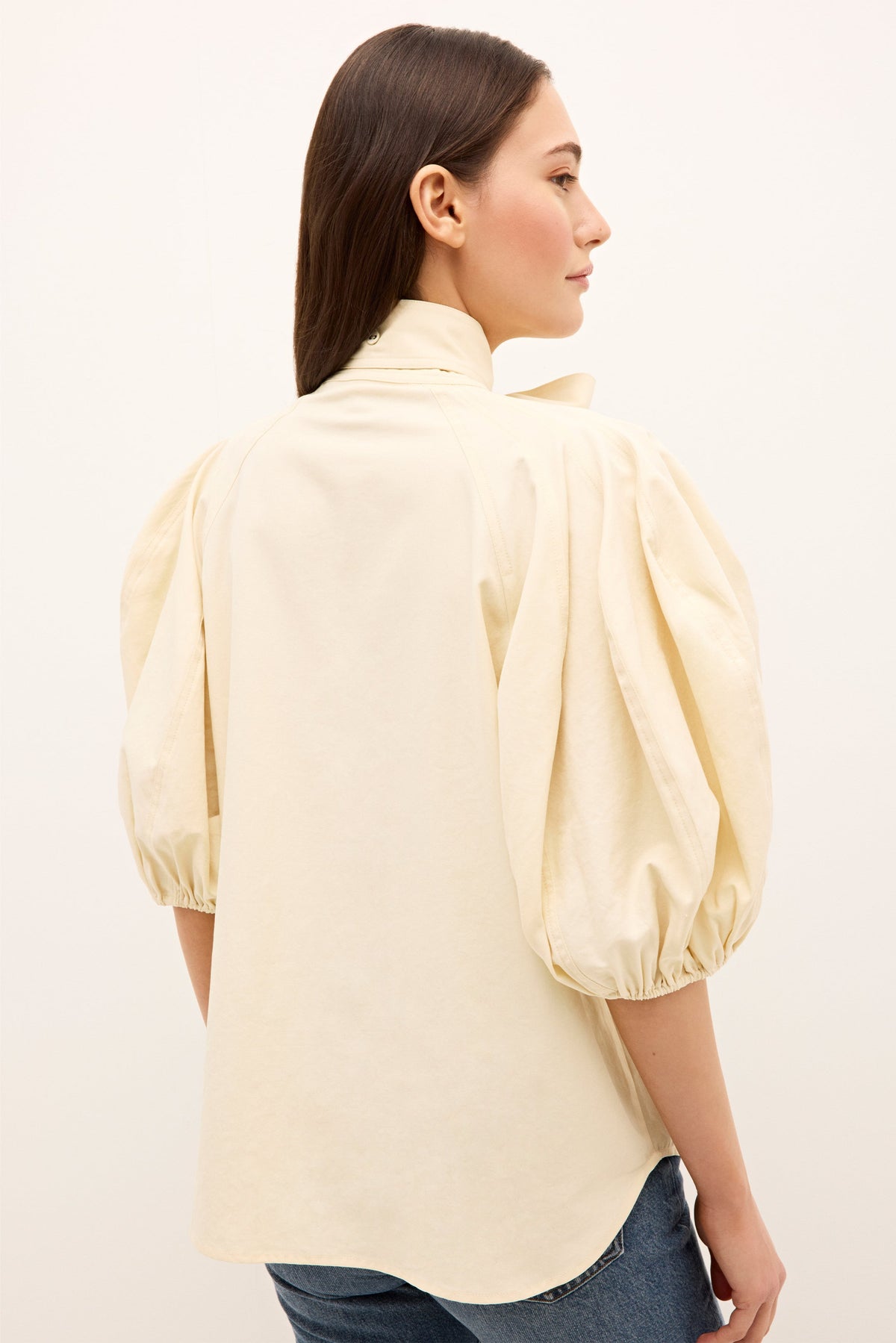 Navi Top in Turtledove