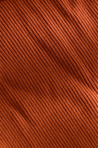 Tucker Top in Auburn