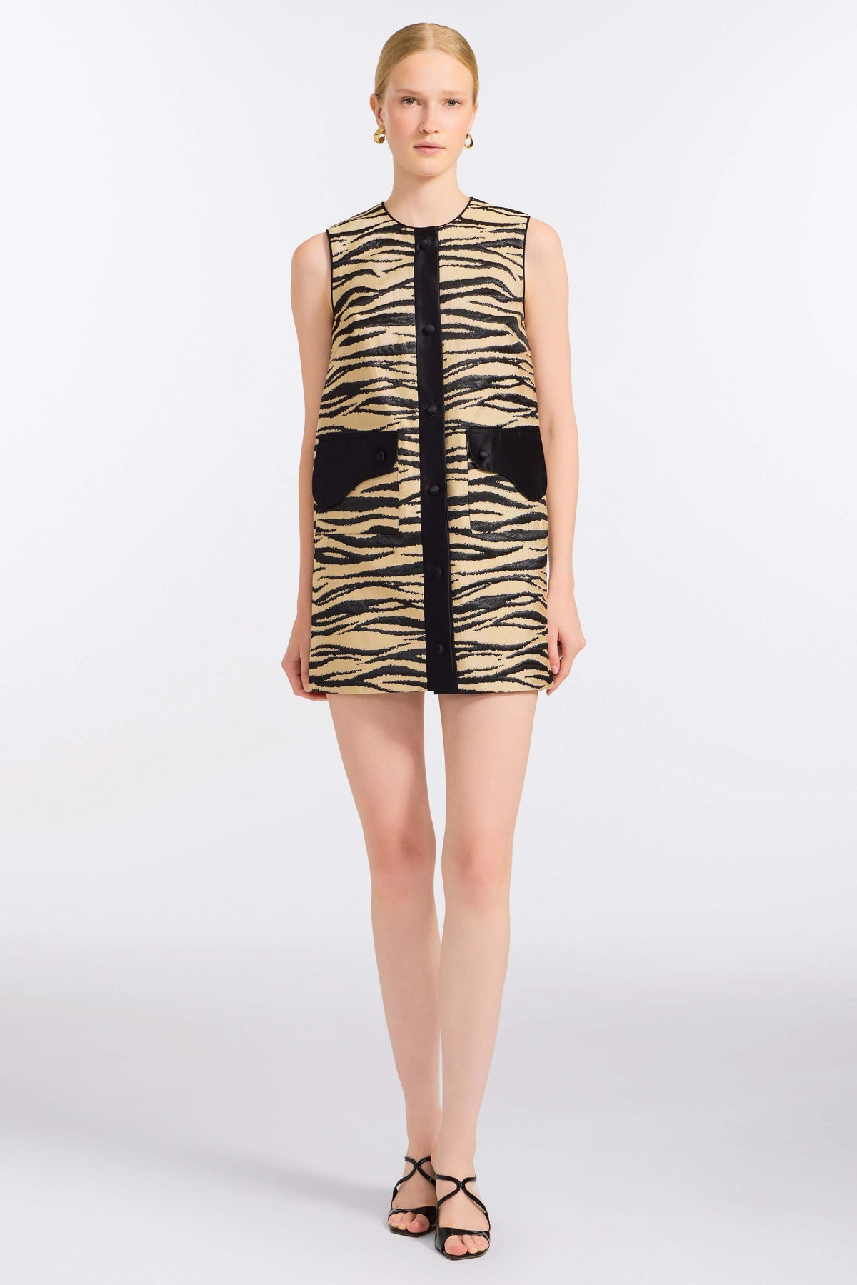Pearsei Zebra-Striped Mini Dress