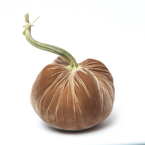 Mocha Silk Velvet Pumpkin