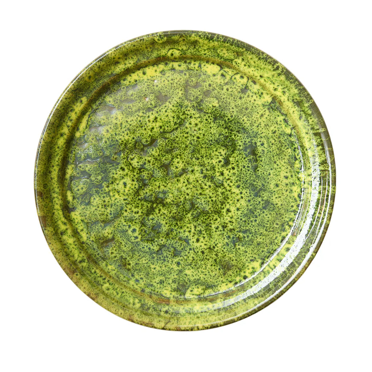 Moss Terracotta Dinner Plate