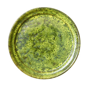 Moss Terracotta Dinner Plate