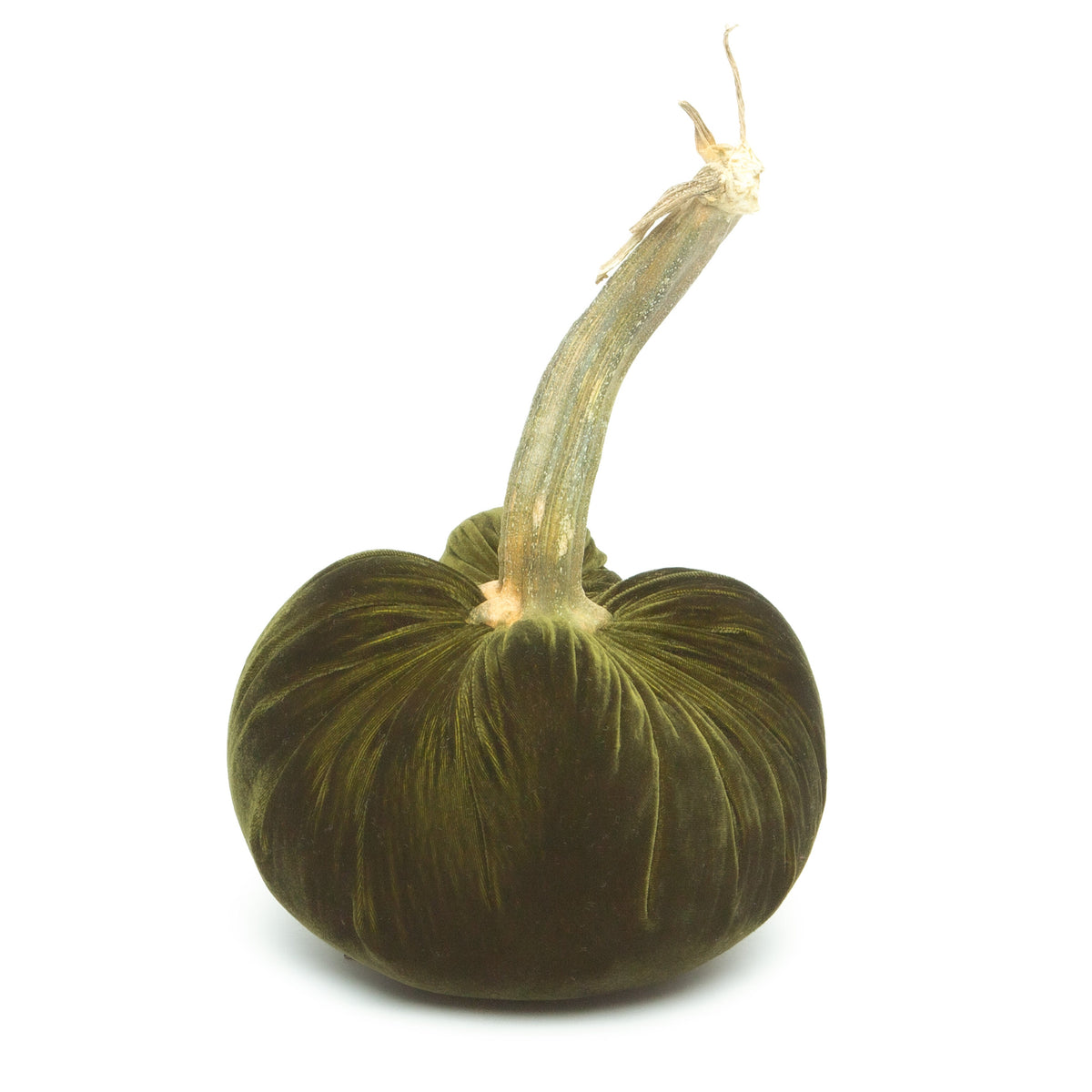 Moss Silk Velvet Pumpkin