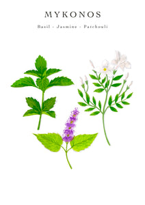 Trio Travel Candles My First Baobab Manhattan-Paris-Mykonos