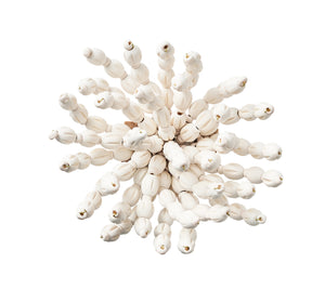 Reed Napkin Ring in White, Set of 4