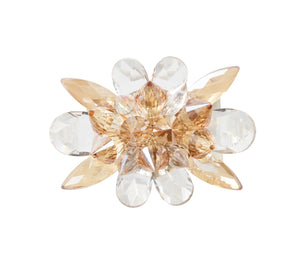 Spectra Napkin Ring in Champange & Crystal, Set of 4