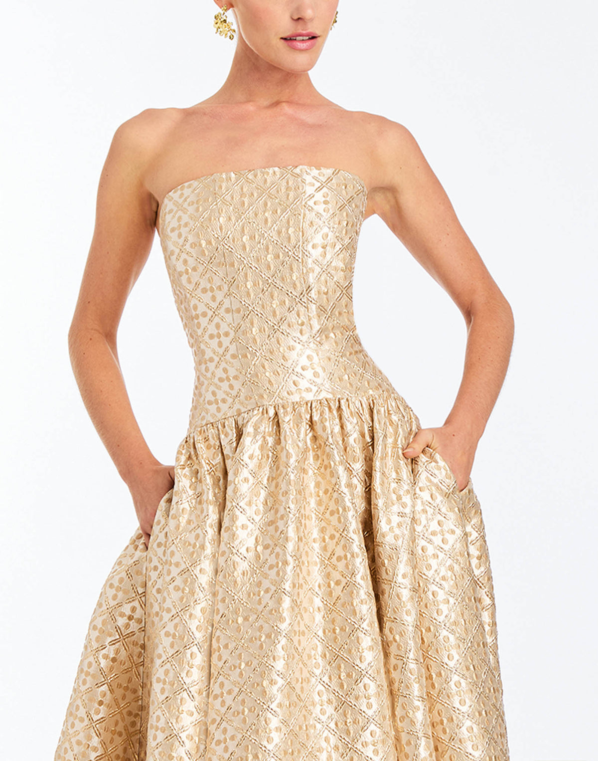 Nereida Dropwaist Gown in Golden Tile